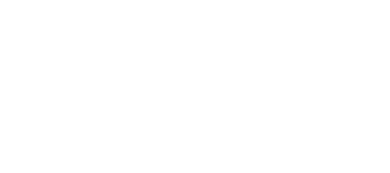 ANT BRANCA